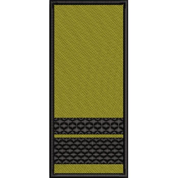 GRADE SERGENT MAJOR / PATCH CU SCAI